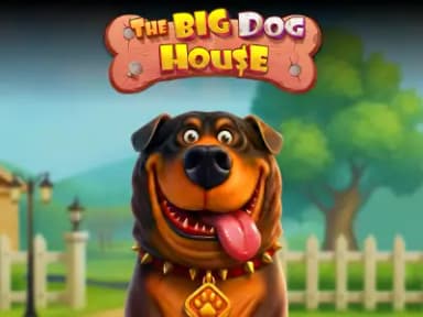 The Big Dog House